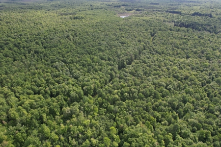 120 ± Acres Bordering Chequamegon National Forest, WI - image 1