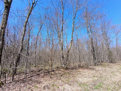 120 ± Acres Bordering Chequamegon National Forest, WI - image 11