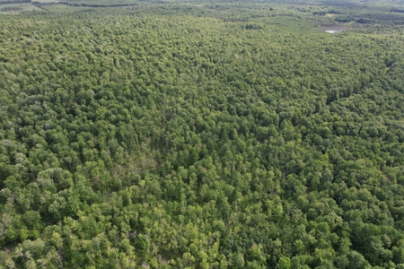120 ± Acres Bordering Chequamegon National Forest, WI - image 3
