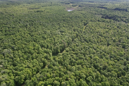 120 ± Acres Bordering Chequamegon National Forest, WI - image 16