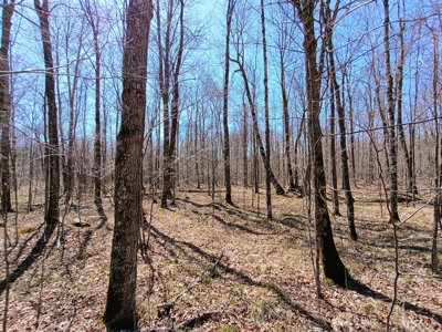 120 ± Acres Bordering Chequamegon National Forest, WI - image 12