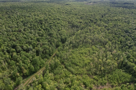 120 ± Acres Bordering Chequamegon National Forest, WI - image 2