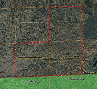 120 ± Acres Bordering Chequamegon National Forest, WI - image 4
