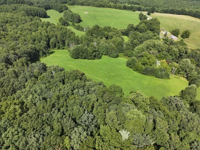 2 Story Country Home with 34 ac± Located in Patrick County, VA - image 8