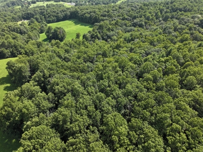 2 Story Country Home with 34 ac± Located in Patrick County, VA - image 40