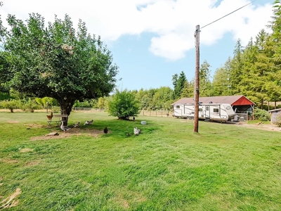 Renovated Yacolt Mini Farm with Shop - image 31