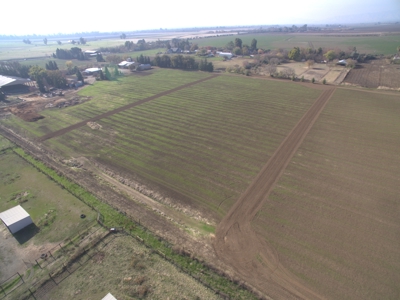 Davis, California Level Land for Farm, Ranch or Homes for Sale - image 8