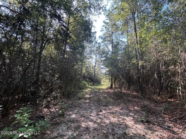 Listing 137
