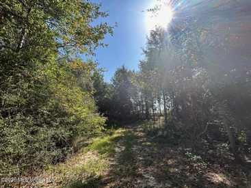 Listing 137