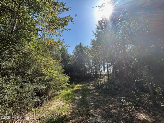 50± Acre Homesite & Hunting Land in Plainview, LA