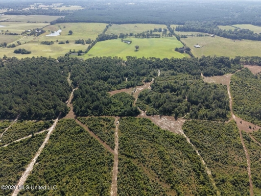 50± Acre Homesite & Hunting Land in Plainview, LA