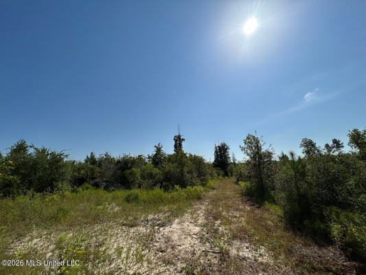 50± Acre Homesite & Hunting Land in Plainview, LA