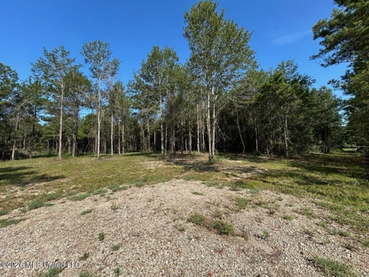 50± Acre Homesite & Hunting Land in Plainview, LA