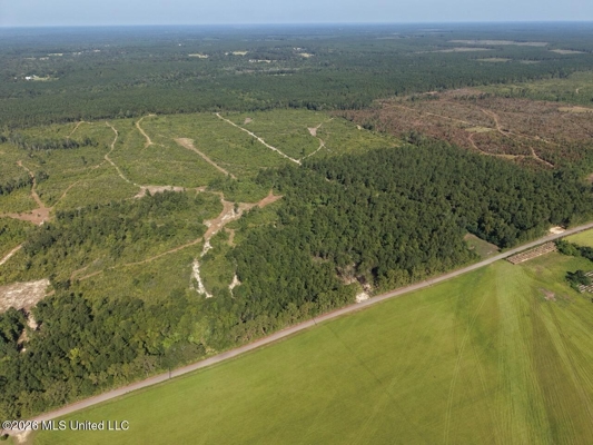 50± Acre Homesite & Hunting Land in Plainview, LA