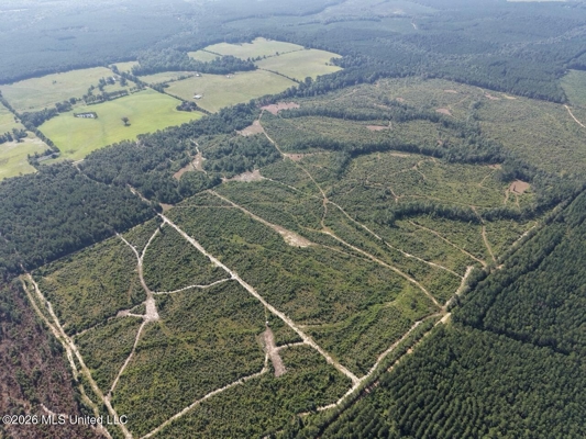 50± Acre Homesite & Hunting Land in Plainview, LA