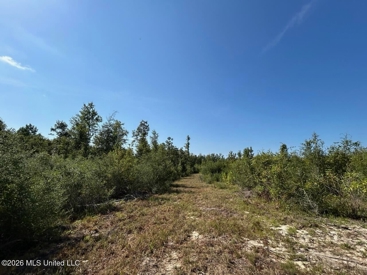 Listing 137