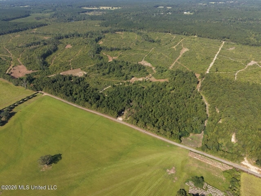 50± Acre Homesite & Hunting Land in Plainview, LA