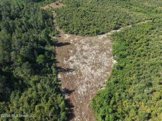 50± Acre Homesite & Hunting Land in Plainview, LA