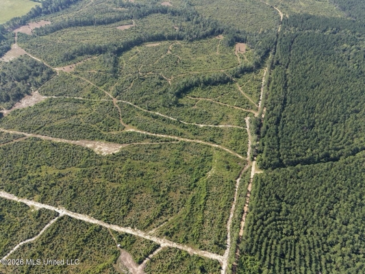 50± Acre Homesite & Hunting Land in Plainview, LA