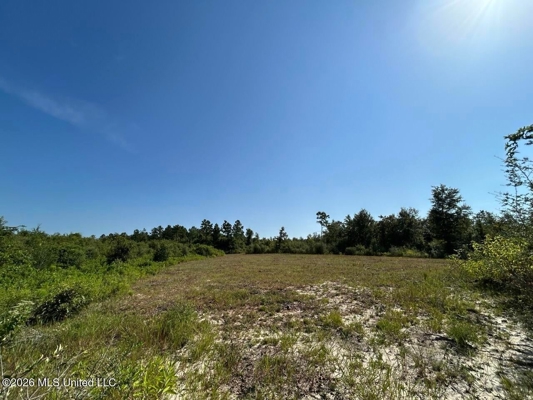 50± Acre Homesite & Hunting Land in Plainview, LA