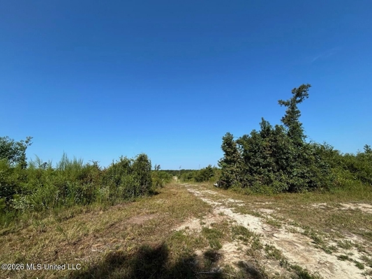 50± Acre Homesite & Hunting Land in Plainview, LA