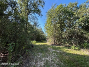 Listing 137