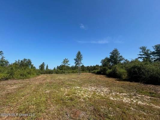 50± Acre Homesite & Hunting Land in Plainview, LA