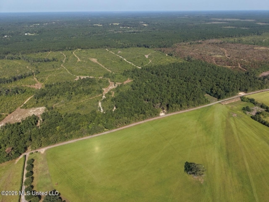 50± Acre Homesite & Hunting Land in Plainview, LA
