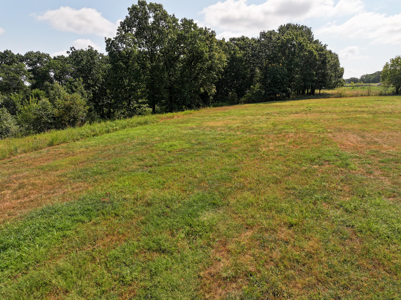 Home for Sale, Cedar County Missouri - image 16