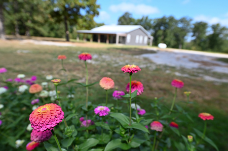 Home for Sale, Cedar County Missouri - image 7