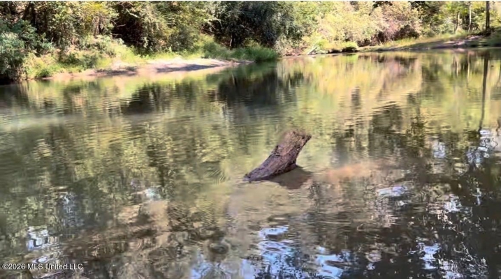 150 Acres for Sale in Magnolia MS on Tangipahoa River