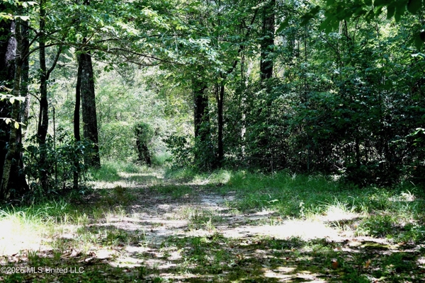 150 Acres for Sale in Magnolia MS on Tangipahoa River