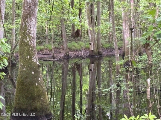 150 Acres for Sale in Magnolia MS on Tangipahoa River