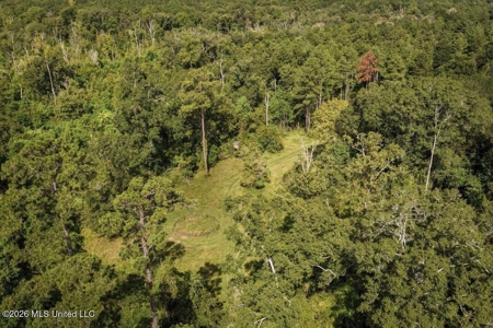 150 Acres for Sale in Magnolia MS on Tangipahoa River - image 3