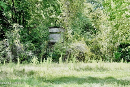 150 Acres for Sale in Magnolia MS on Tangipahoa River - image 4