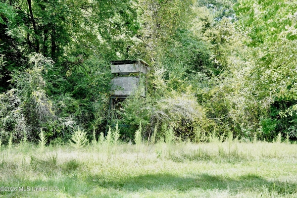 150 Acres for Sale in Magnolia MS on Tangipahoa River