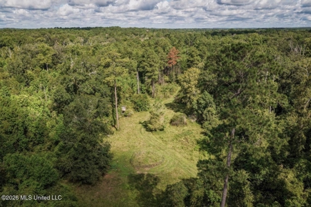 150 Acres for Sale in Magnolia MS on Tangipahoa River - image 14