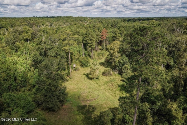 150 Acres for Sale in Magnolia MS on Tangipahoa River