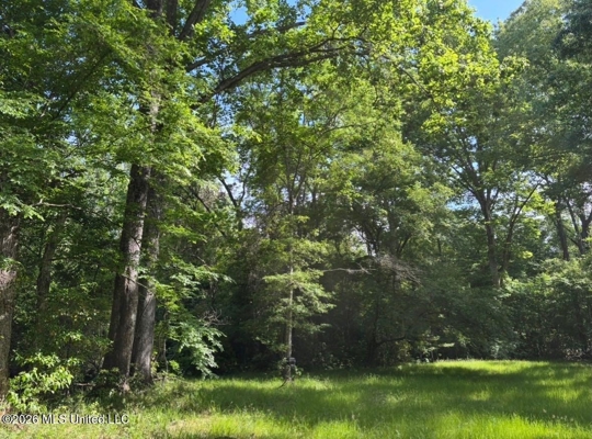 150 Acres for Sale in Magnolia MS on Tangipahoa River