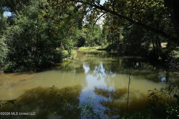 150 Acres for Sale in Magnolia MS on Tangipahoa River