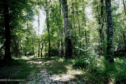 Listing 59