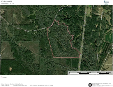 150 Acres for Sale in Magnolia MS on Tangipahoa River - image 50