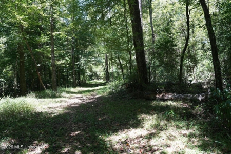 150 Acres for Sale in Magnolia MS on Tangipahoa River - image 23
