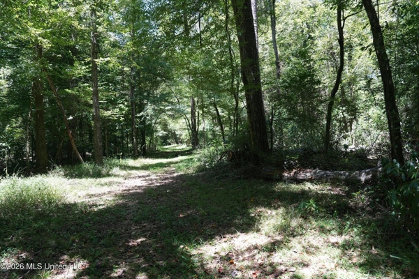150 Acres for Sale in Magnolia MS on Tangipahoa River