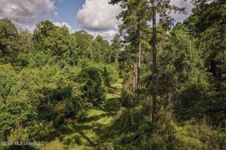 150 Acres for Sale in Magnolia MS on Tangipahoa River - image 15