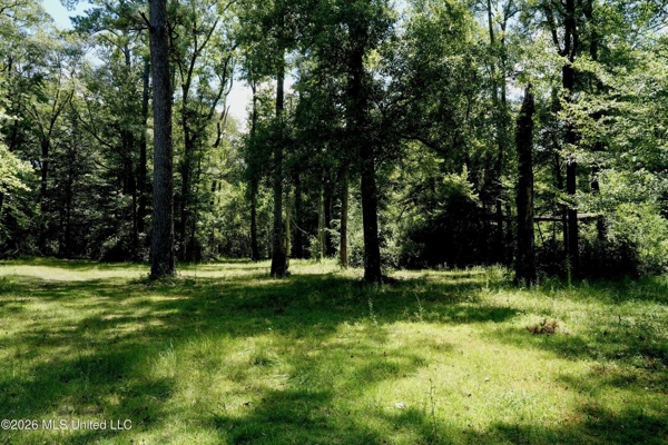 150 Acres for Sale in Magnolia MS on Tangipahoa River