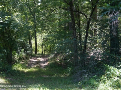 150 Acres for Sale in Magnolia MS on Tangipahoa River - image 34