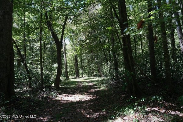 150 Acres for Sale in Magnolia MS on Tangipahoa River