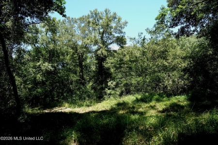 150 Acres for Sale in Magnolia MS on Tangipahoa River - image 36
