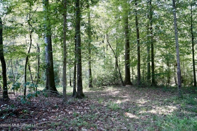Listing 59